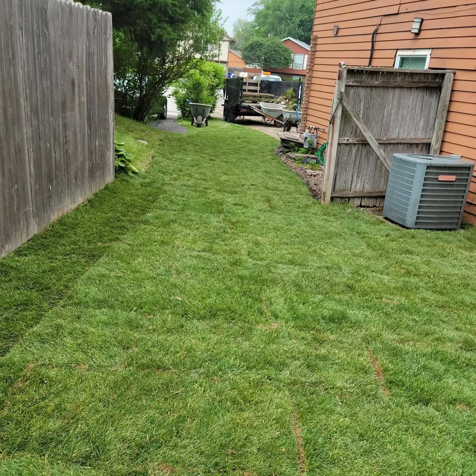 Fresh sod installation — Oak Forest backyard